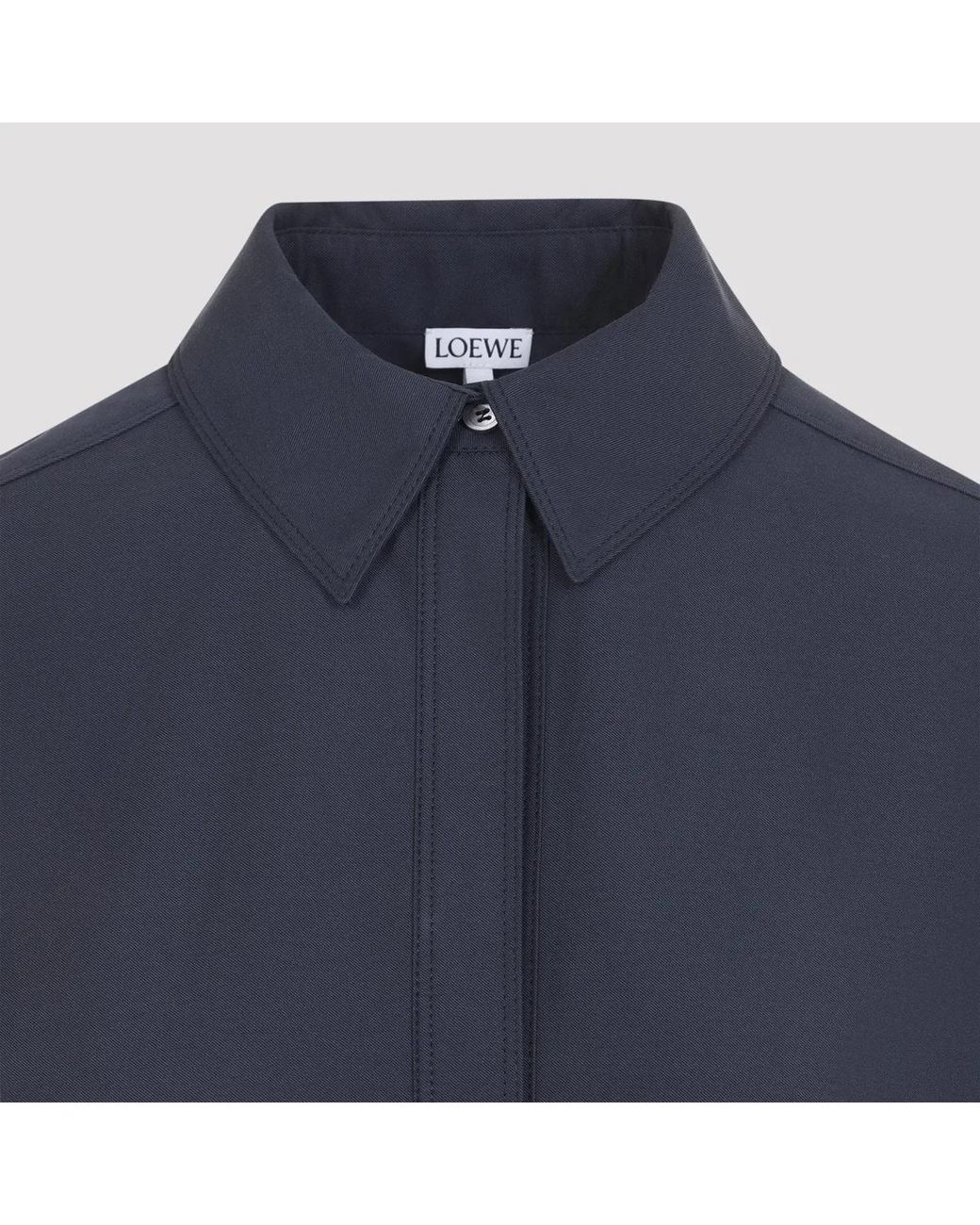 Loewe Blue Pleated Dress
