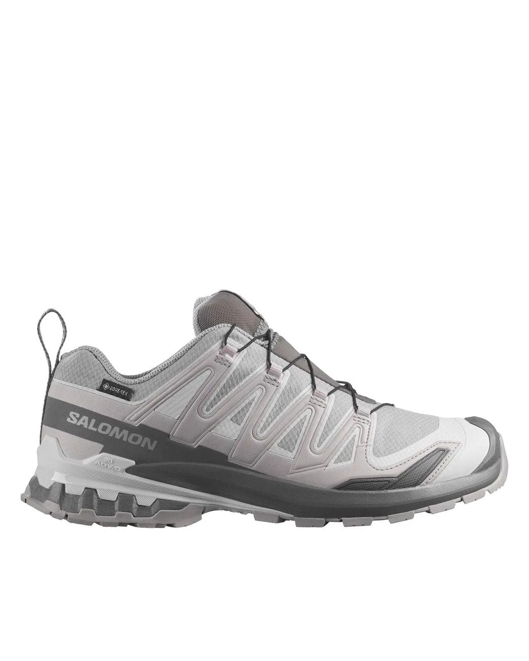 Salomon Gray Xa Pro 3D V9 Gtx for men