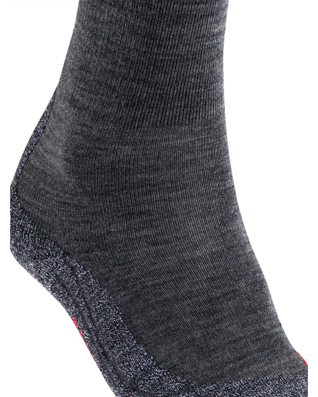 Falke Black Tk2 Explore for men