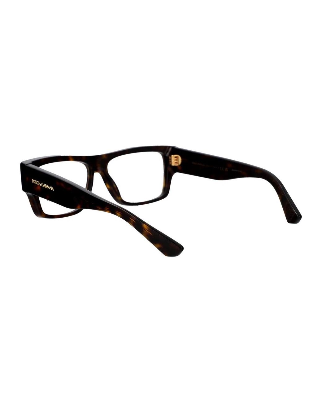 Dolce & Gabbana Brown Dolce & Gabbana Acetate Optical Glasses