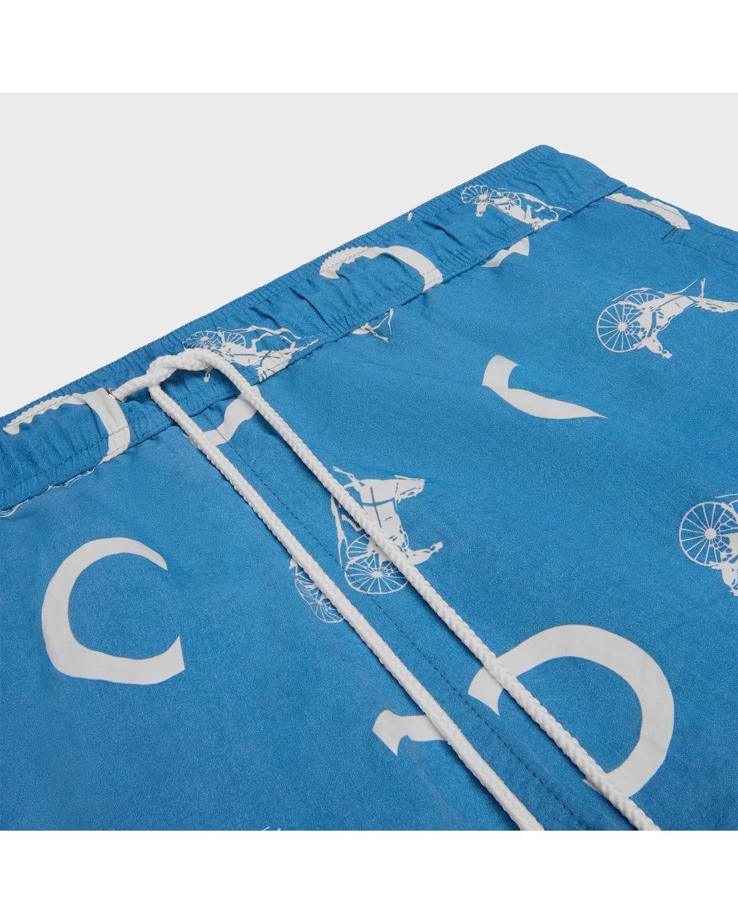 Céline Blue Swimsuit Shorts for men