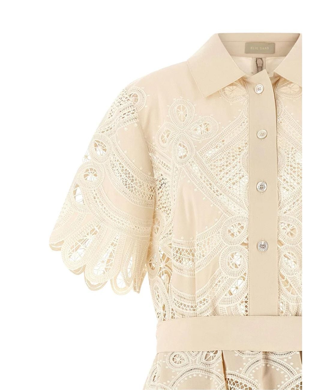 Elie Saab Natural Carving Embroidery Dress