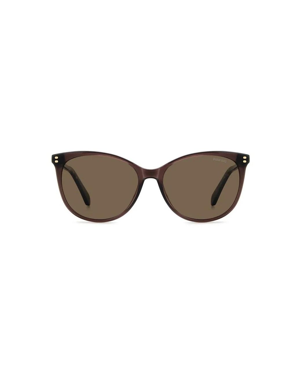 Polaroid Brown Pld 4200/S/X 09Q(Sp)