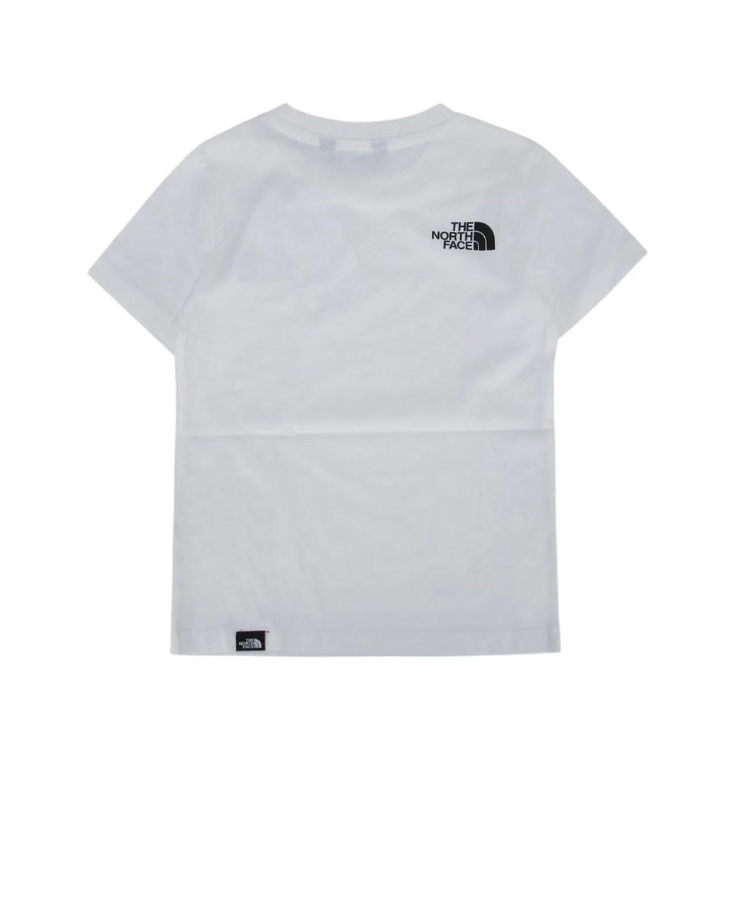 The North Face Gray Teen Simple Dome Regular Ss Tee