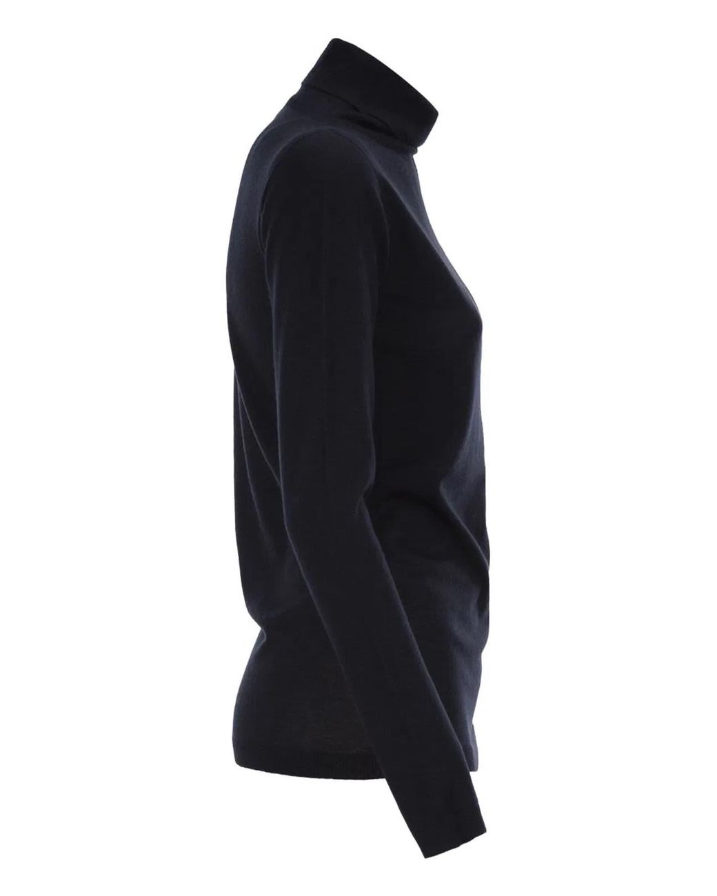 Fabiana Filippi Black Cashmere And Silk Roll-Neck Jumper With An Essential Silhouette