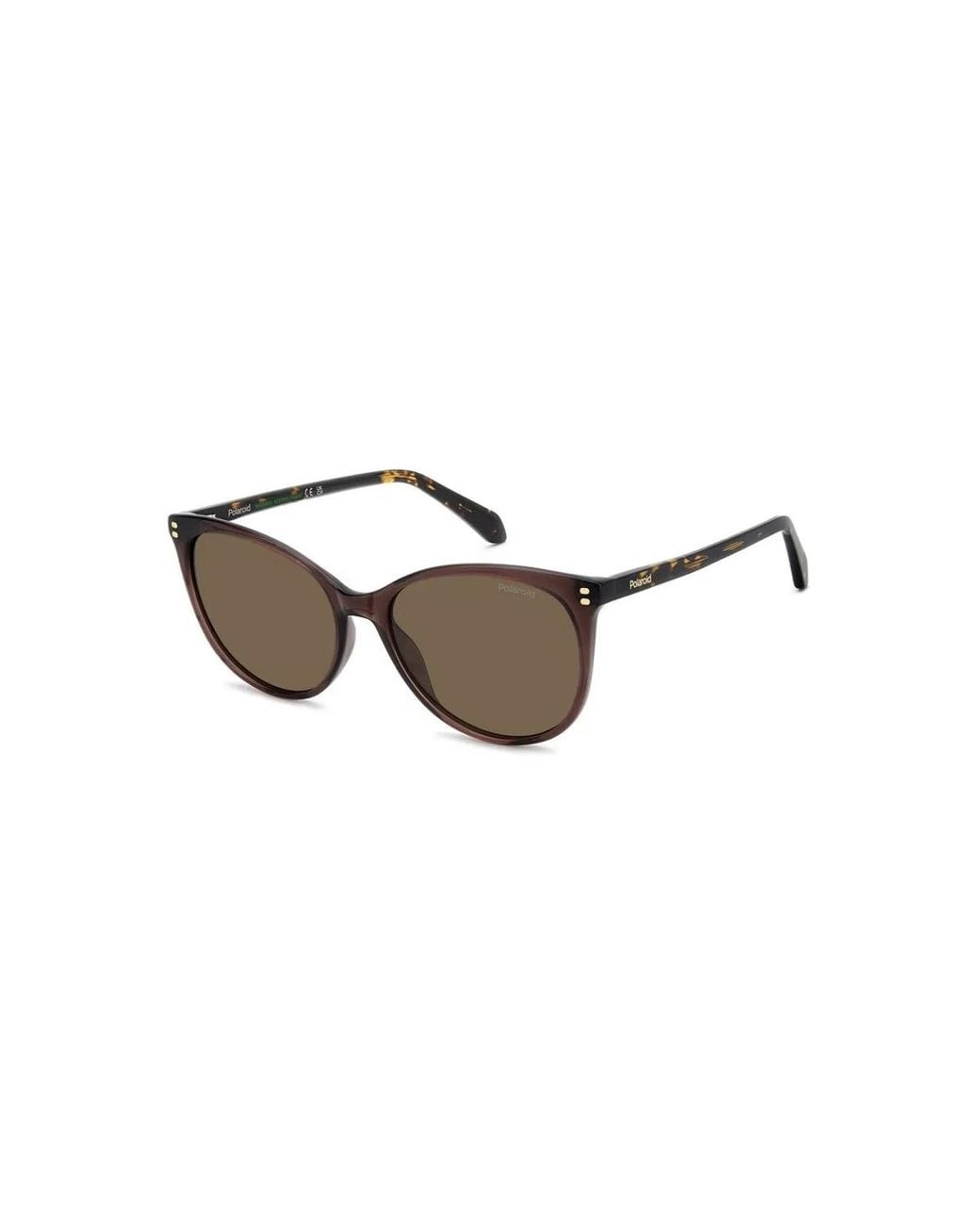 Polaroid Brown Pld 4200/S/X 09Q(Sp)
