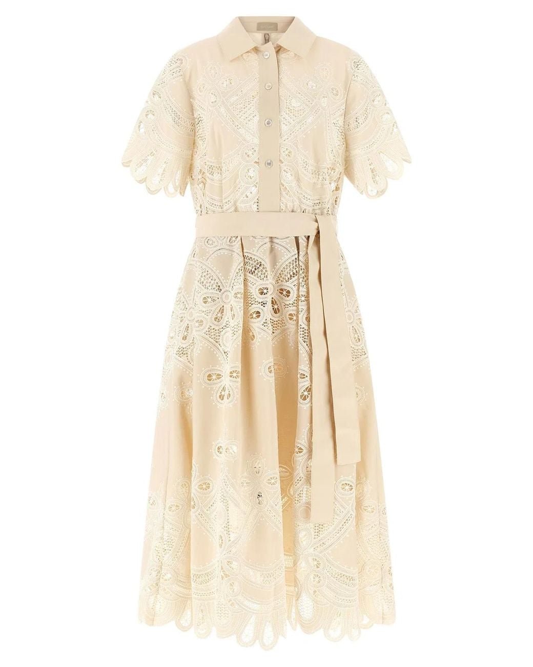 Elie Saab Natural Carving Embroidery Dress