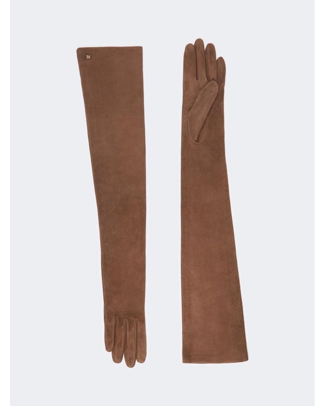 Max Mara Brown Mxaazzurro Gloves