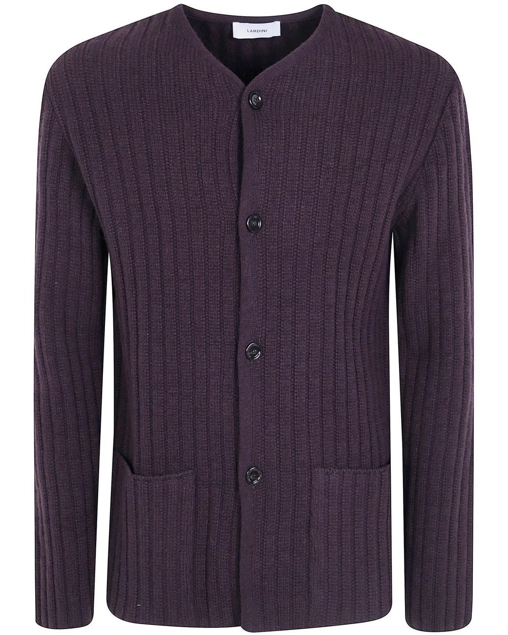 Lardini Blue "Le Origini" Sweater for men