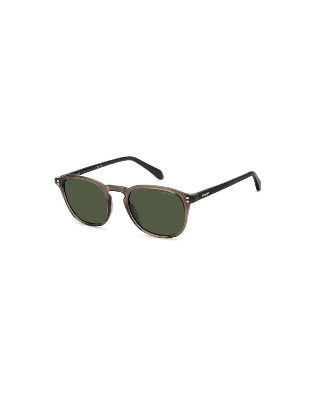 Polaroid Green Pld 4203/S/X 09Q(Uc) for men
