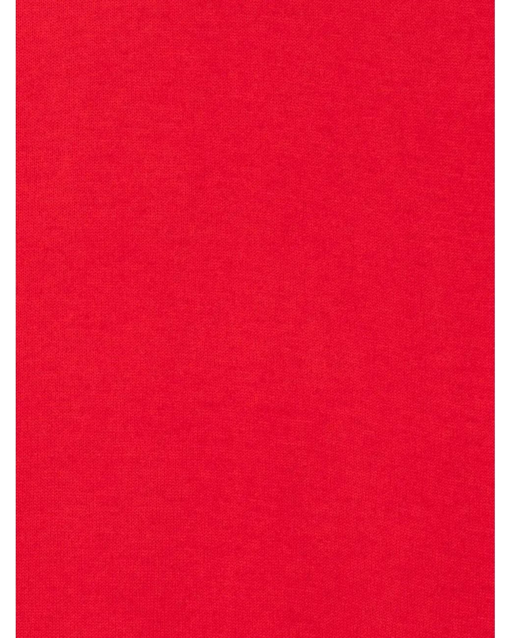 ABSOLUT CASHMERE Red "Infinity" Scarf
