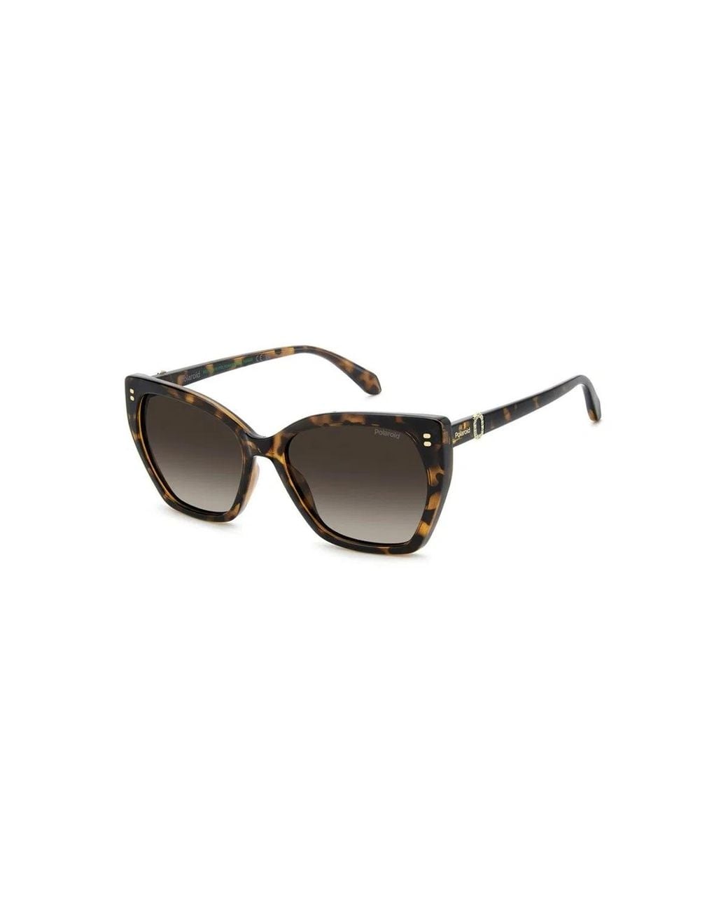 Polaroid Brown Pld 4198/S/X 086(La)