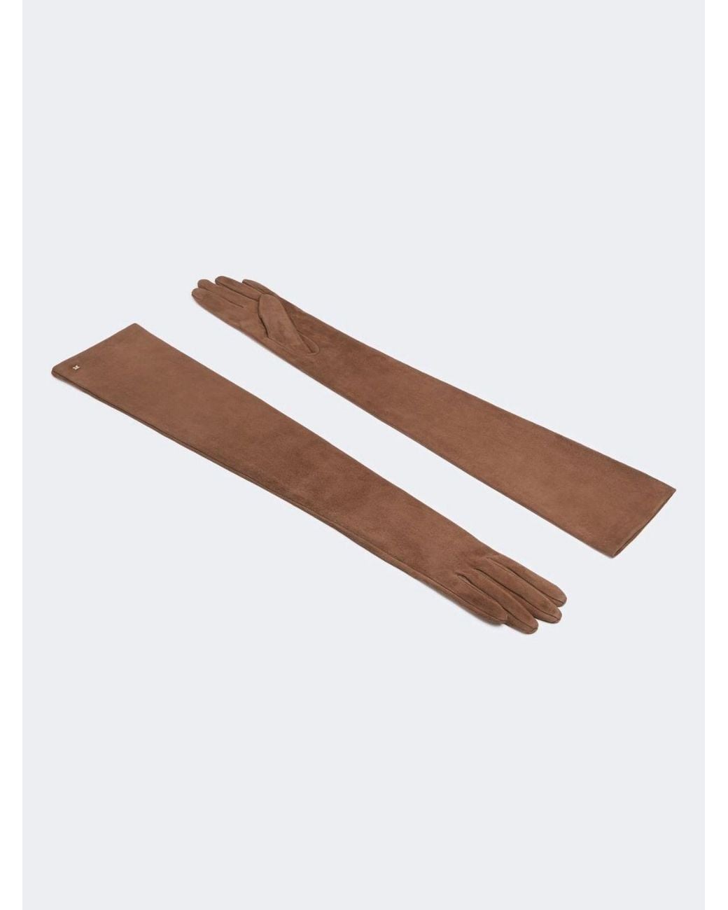 Max Mara Brown Mxaazzurro Gloves