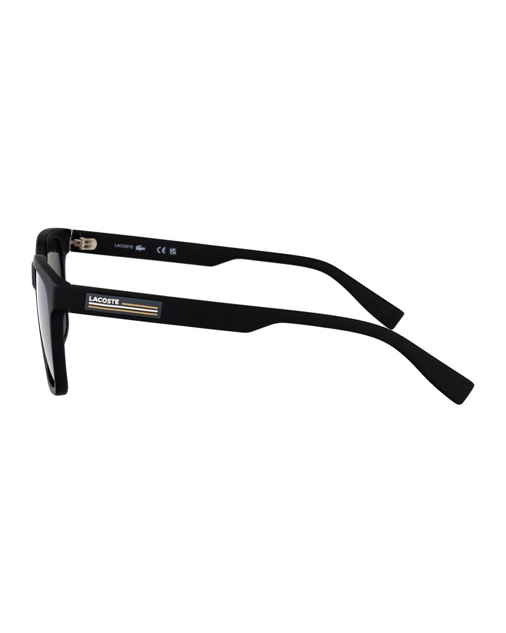 Lacoste Brown Matte Acetate Sunglasses for men