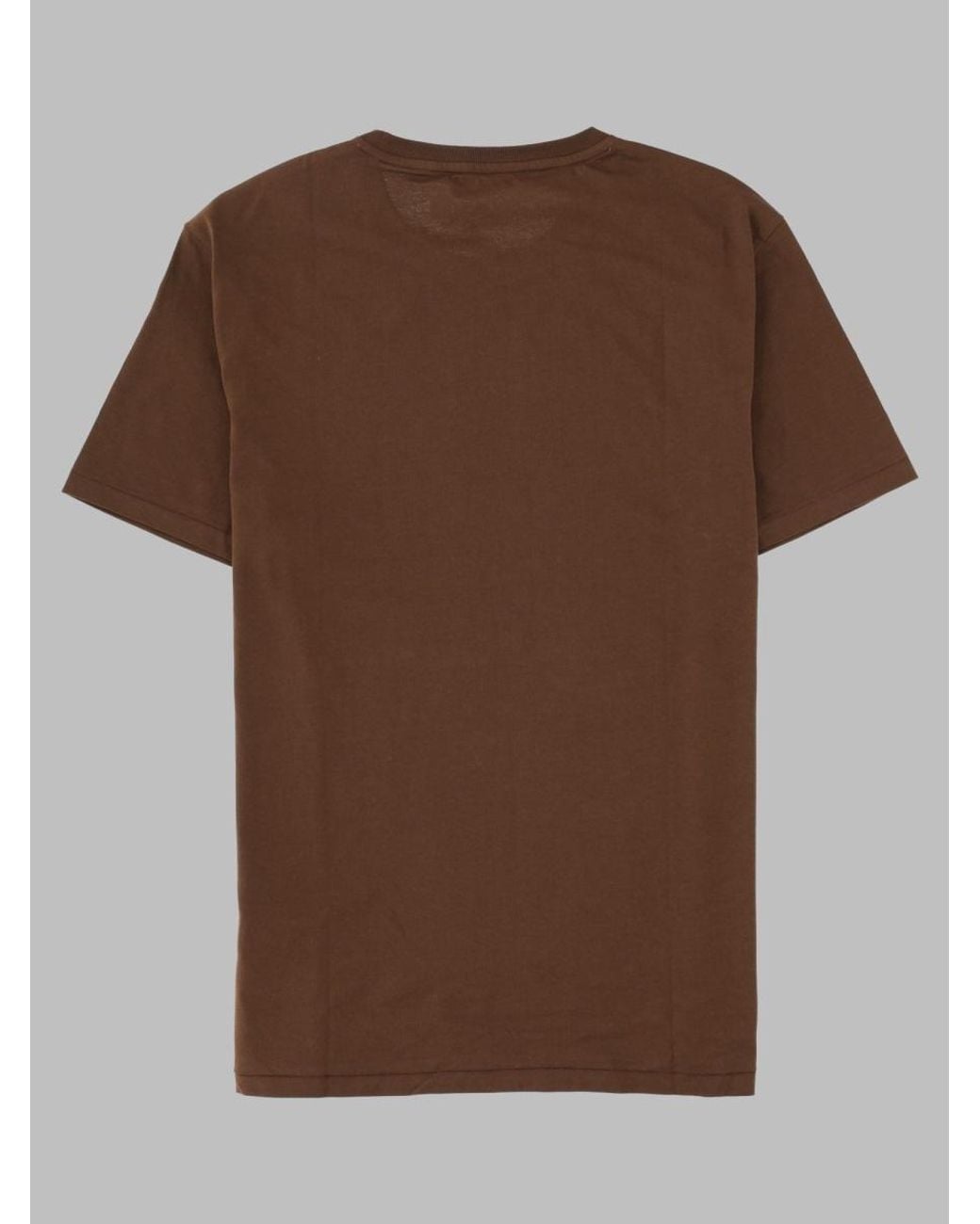Polo Ralph Lauren Brown Classic Logo T-Shirt For for men