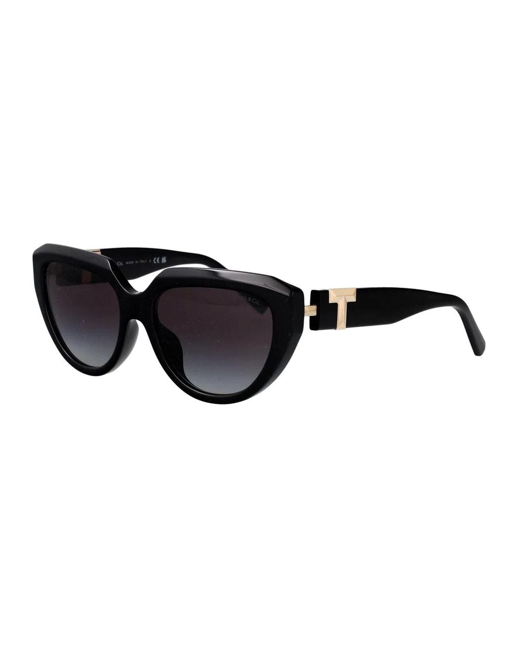 Tiffany & Co Black Tiffany & Co Acetate Sunglasses