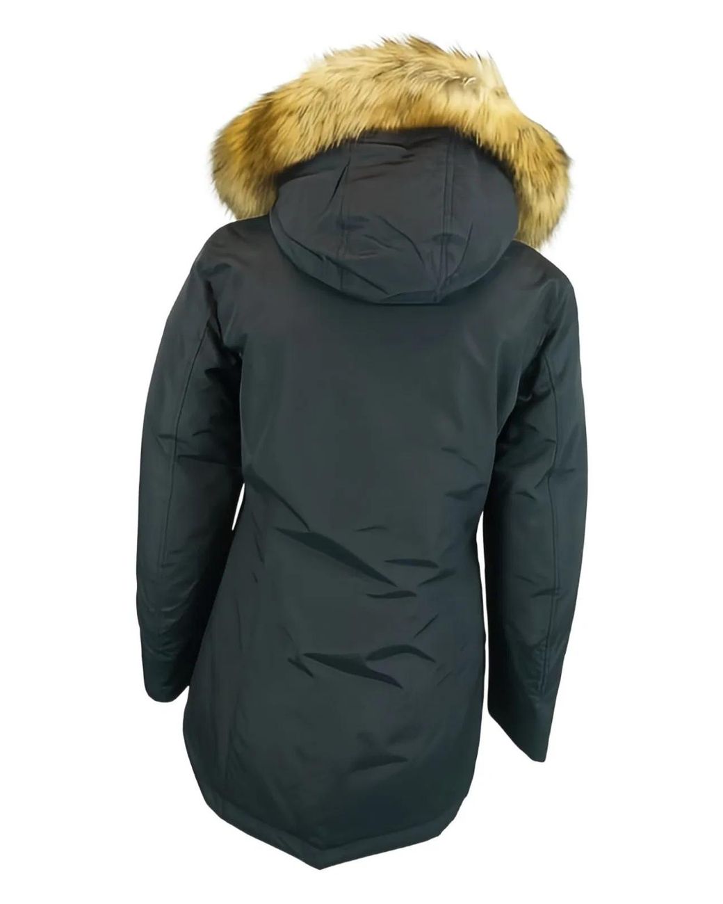Woolrich Blue Coats