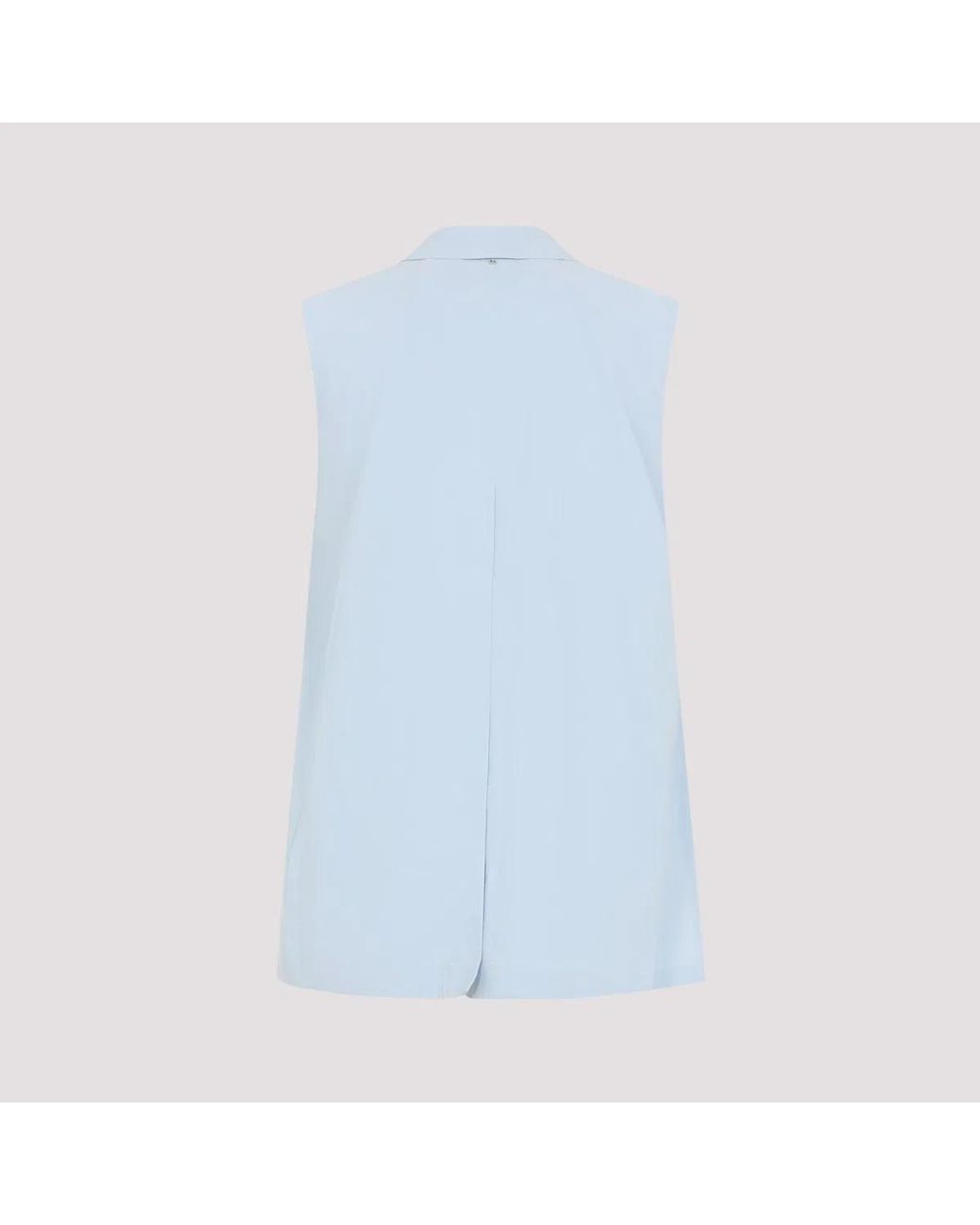 Max Mara Blue Spxmaggio