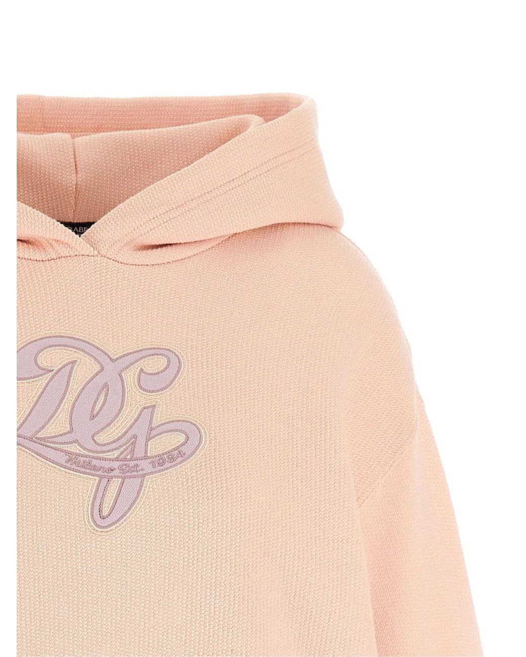 Dolce & Gabbana Natural Dolce & Gabbana Logo Embroidery Hoodie