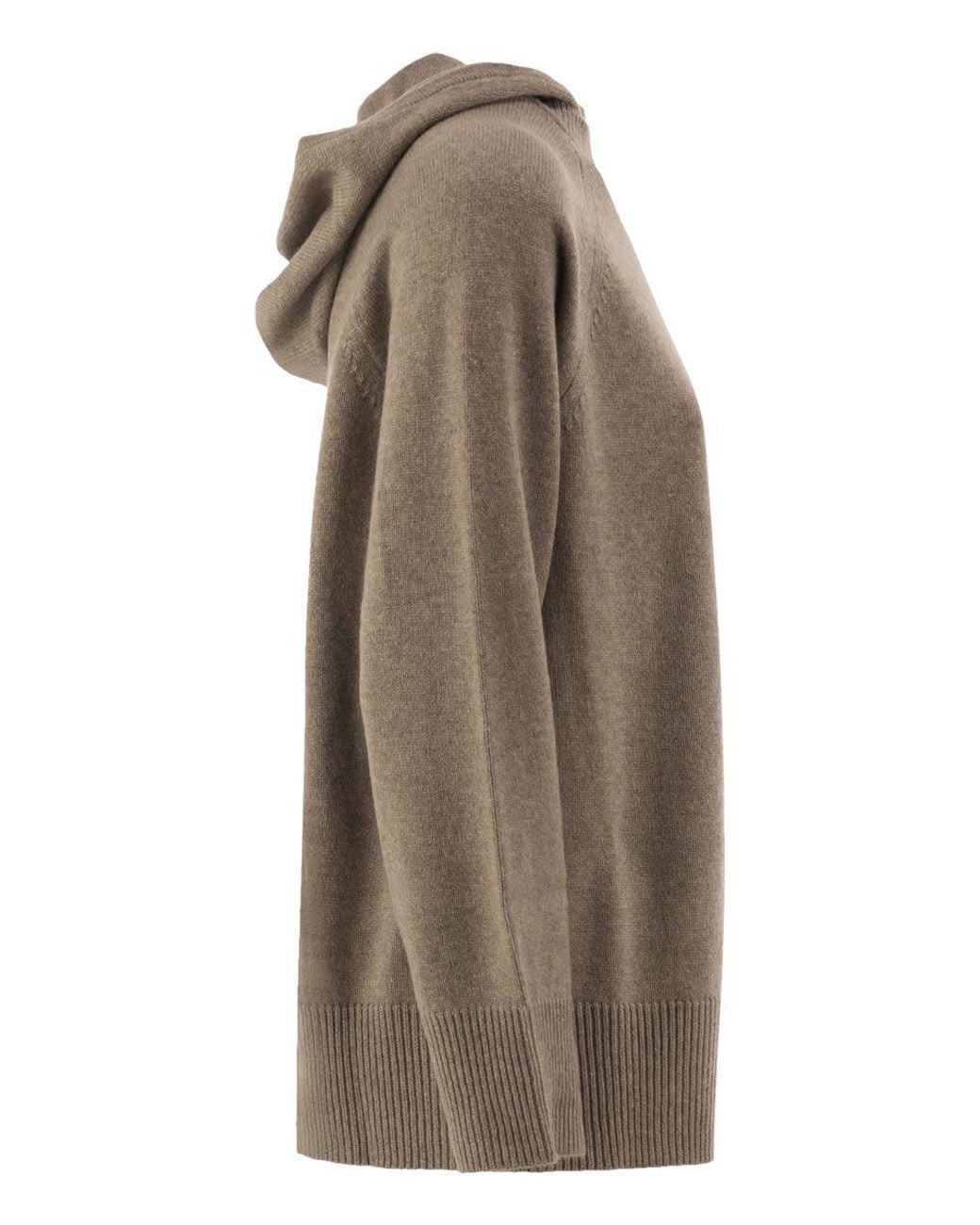 Max Mara Brown Mxmefebo