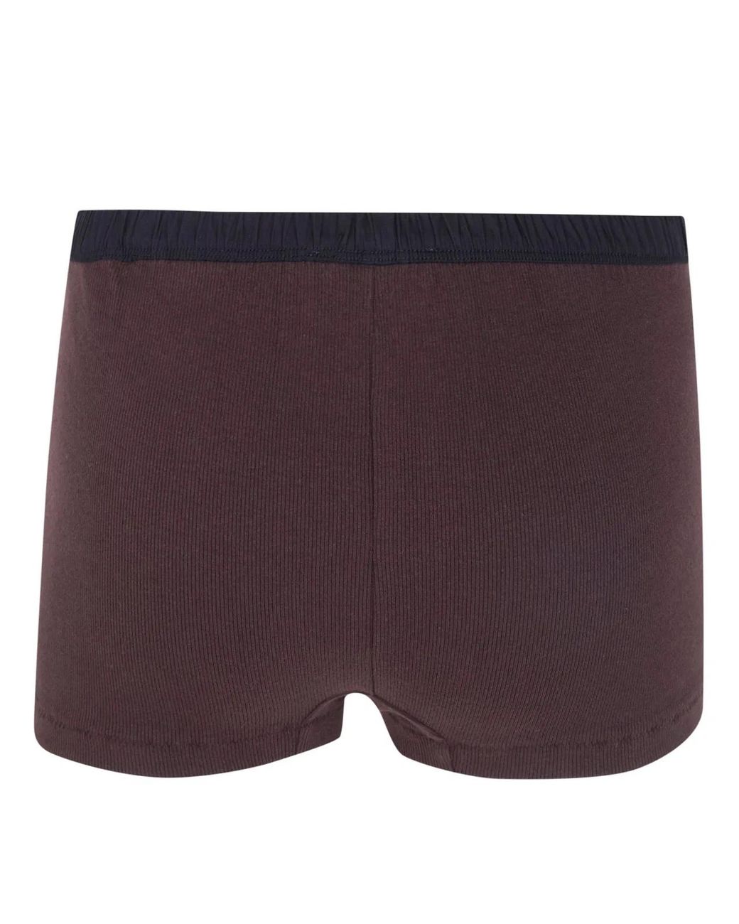 Entire studios Brown "Lounge" Short