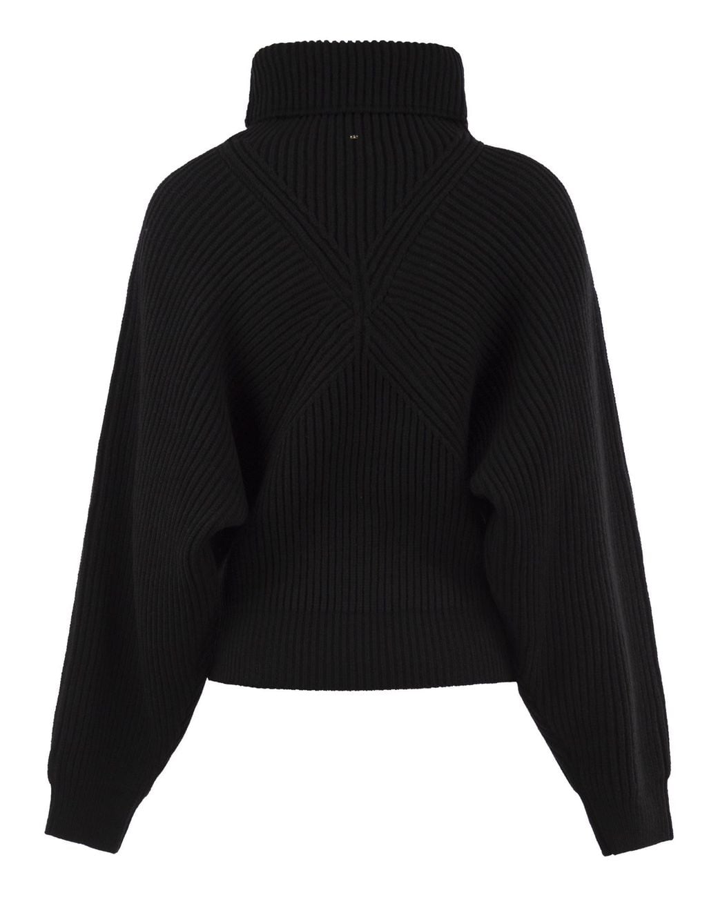 Sportmax Black Spscinto