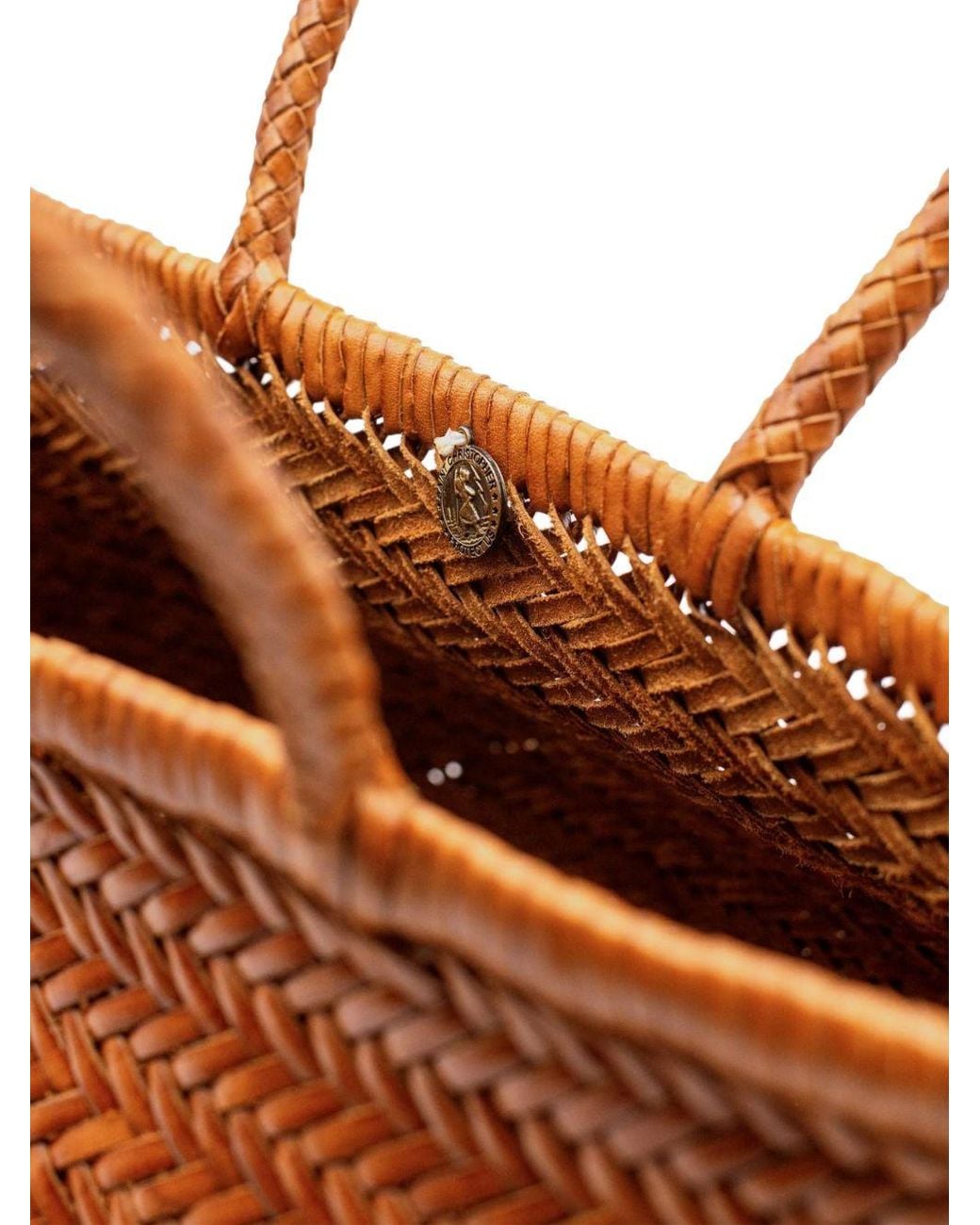 Dragon Diffusion Brown Bags