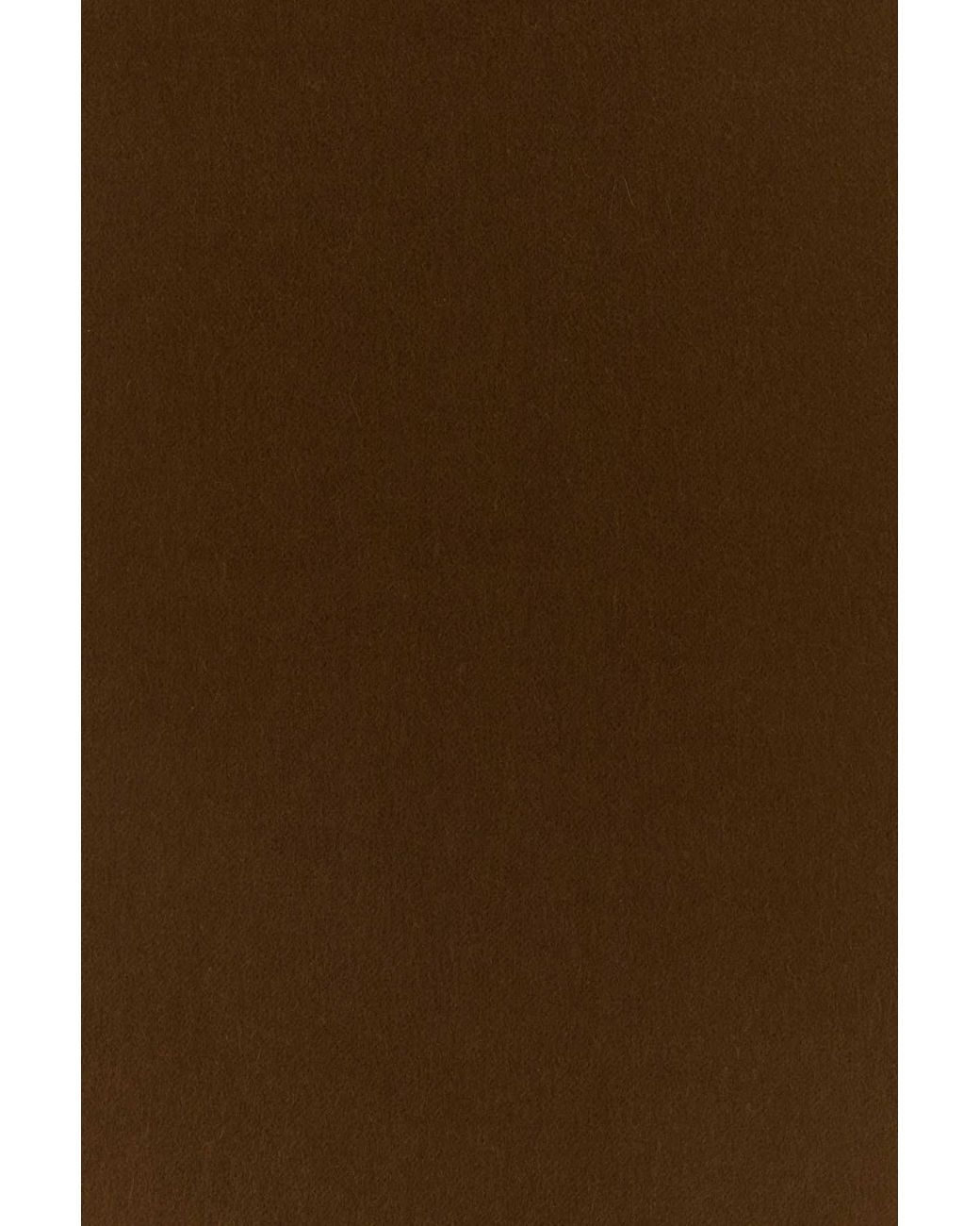 Max Mara Brown Dalia Cashmere Scarf