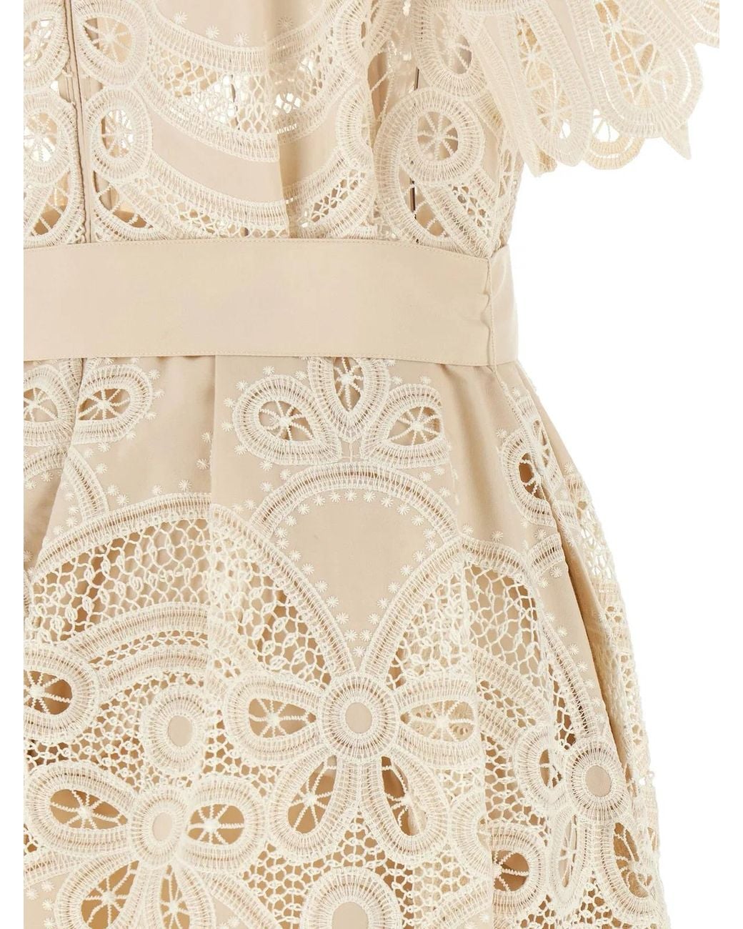 Elie Saab Natural Carving Embroidery Dress