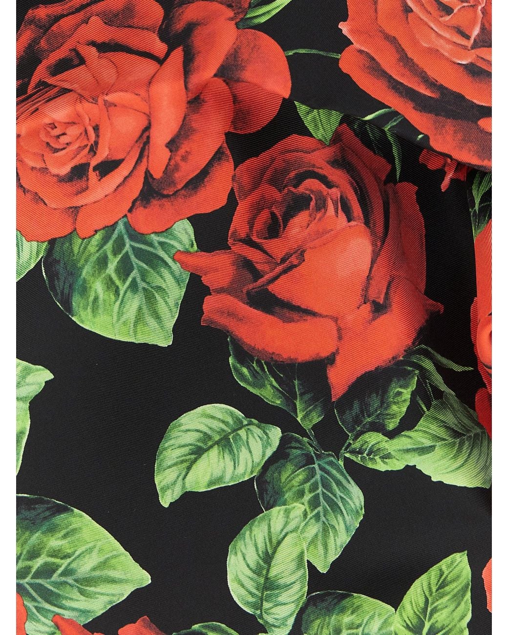 Dolce & Gabbana Black Dolce & Gabbana 'Rose' Scarf