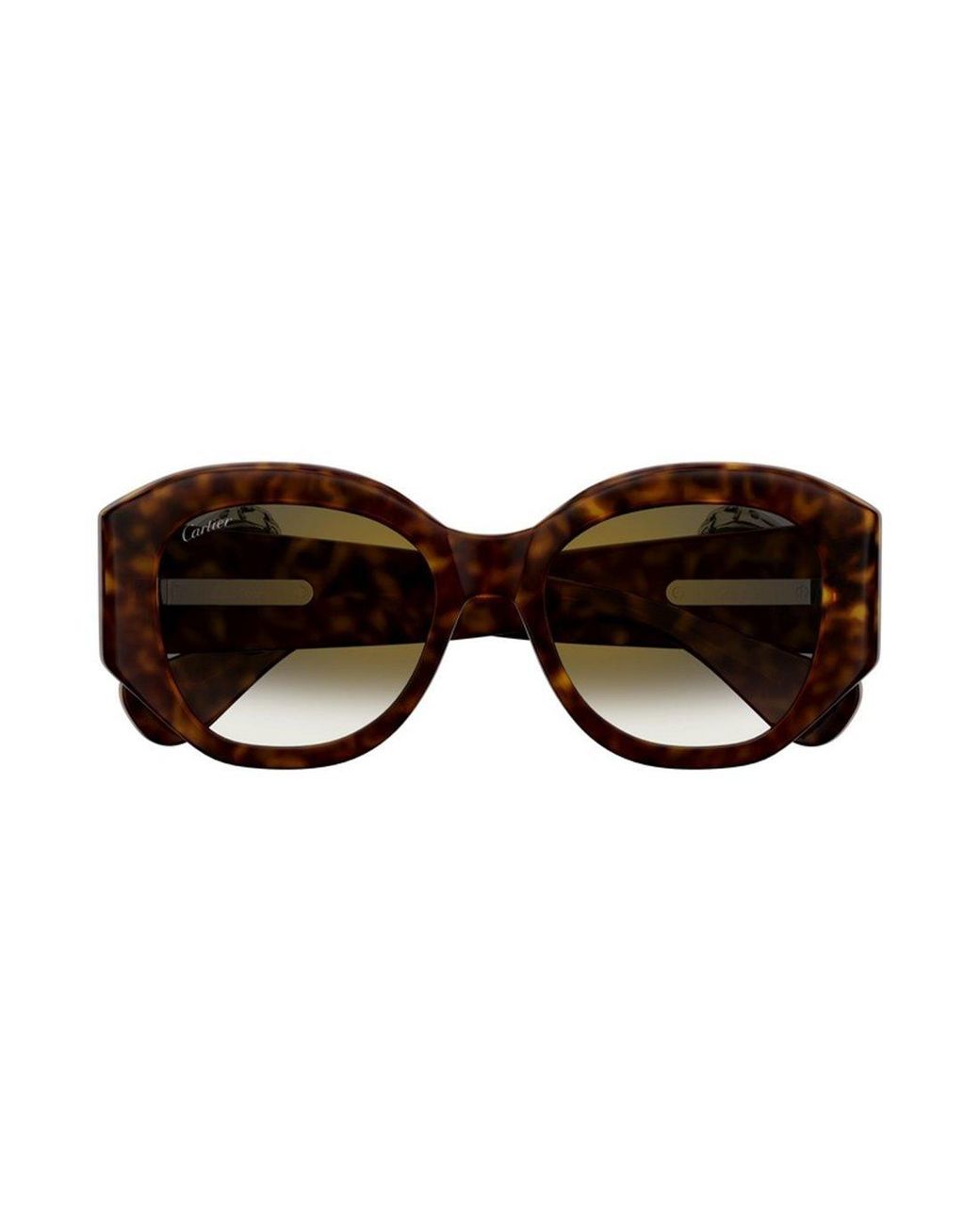 Cartier Brown Ct0502S 002