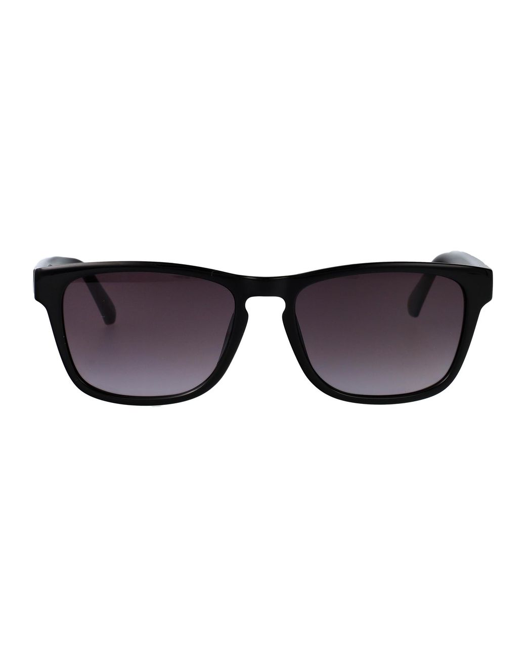 Calvin Klein Black Injected Sunglasses for men