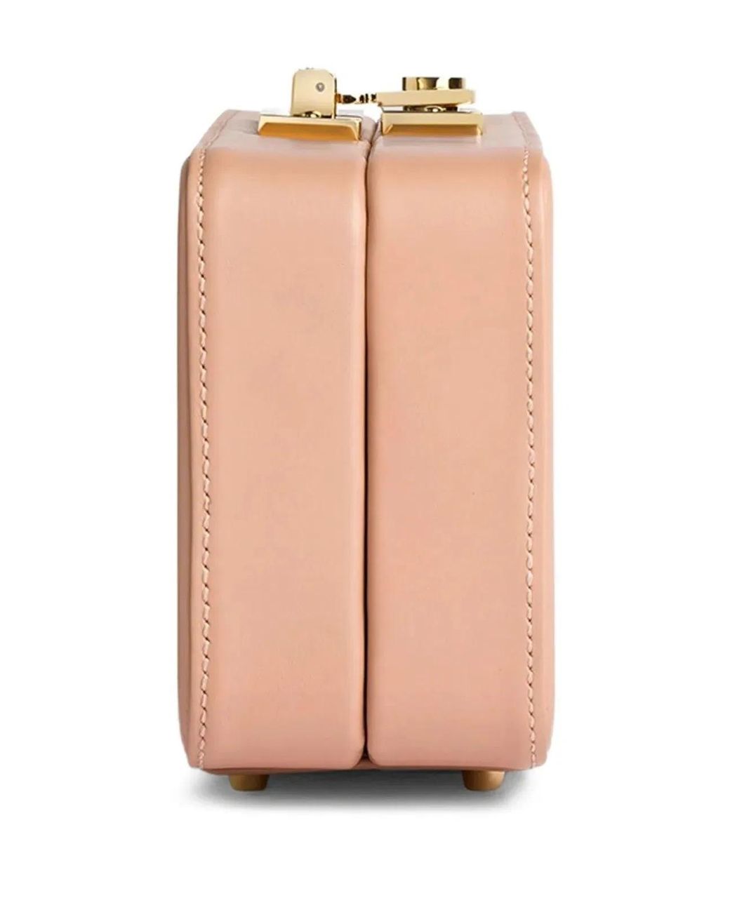 Gianvito Rossi Pink Handbag Calf Glove
