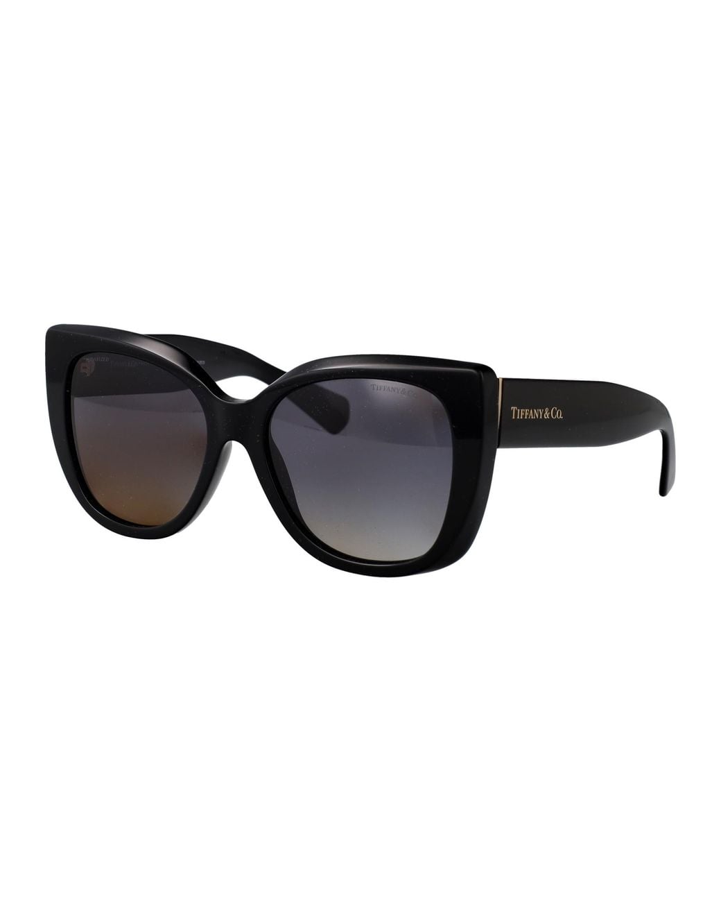 Tiffany & Co Black 0Tf4229 Acetate Sunglasses