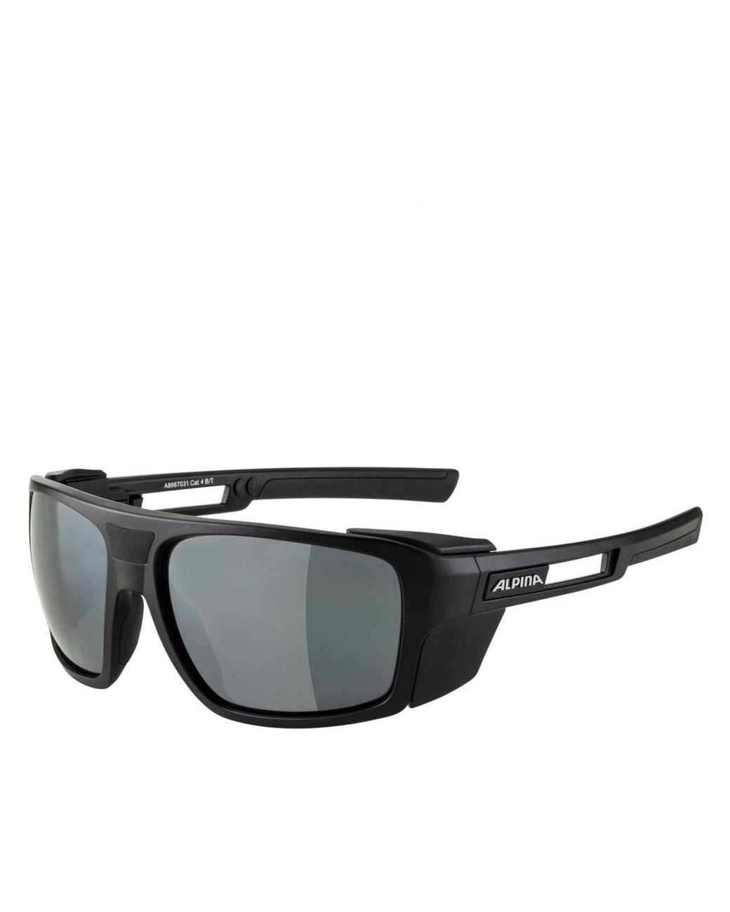 Alpina Gray Skywalsh Occhiale