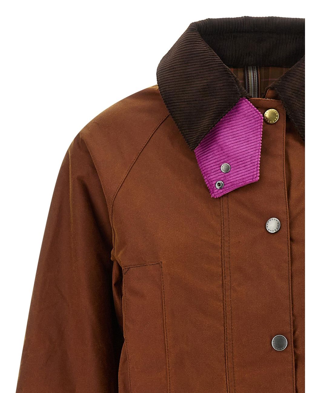Barbour Brown Paul Smith Loves 'Beaufort' Jacket