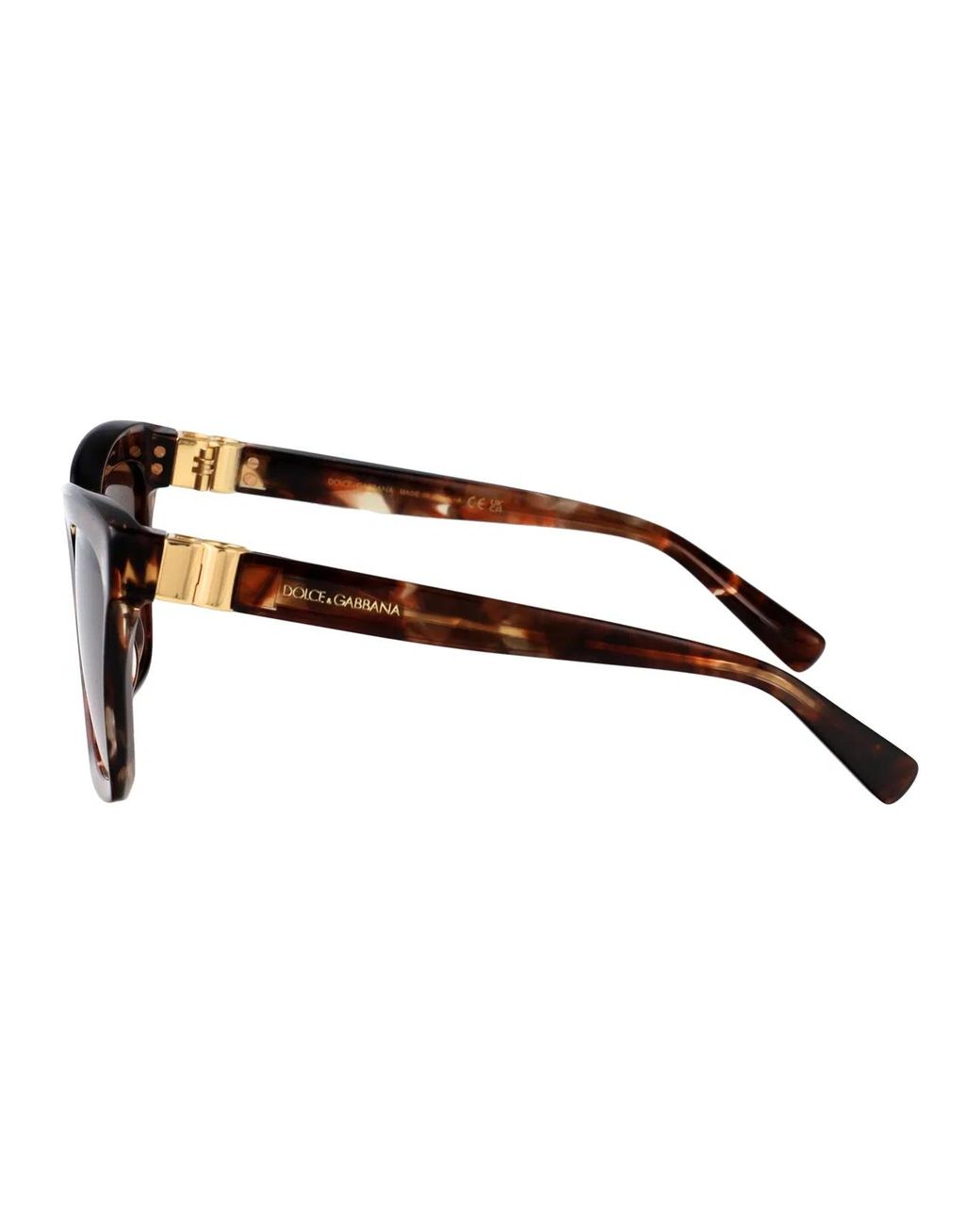Dolce & Gabbana Brown Dolce & Gabbana Sunglasses