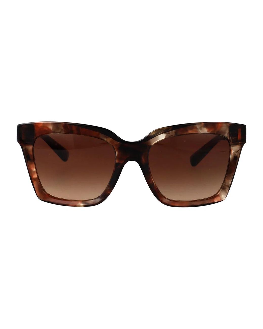 Dolce & Gabbana Brown Dolce & Gabbana Sunglasses