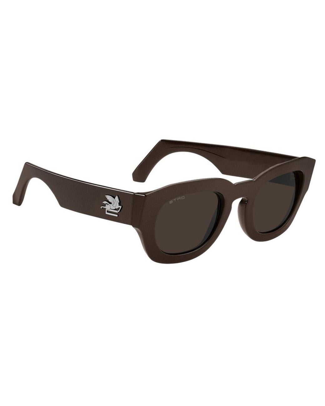 Etro Brown 0079/S J7D(70)