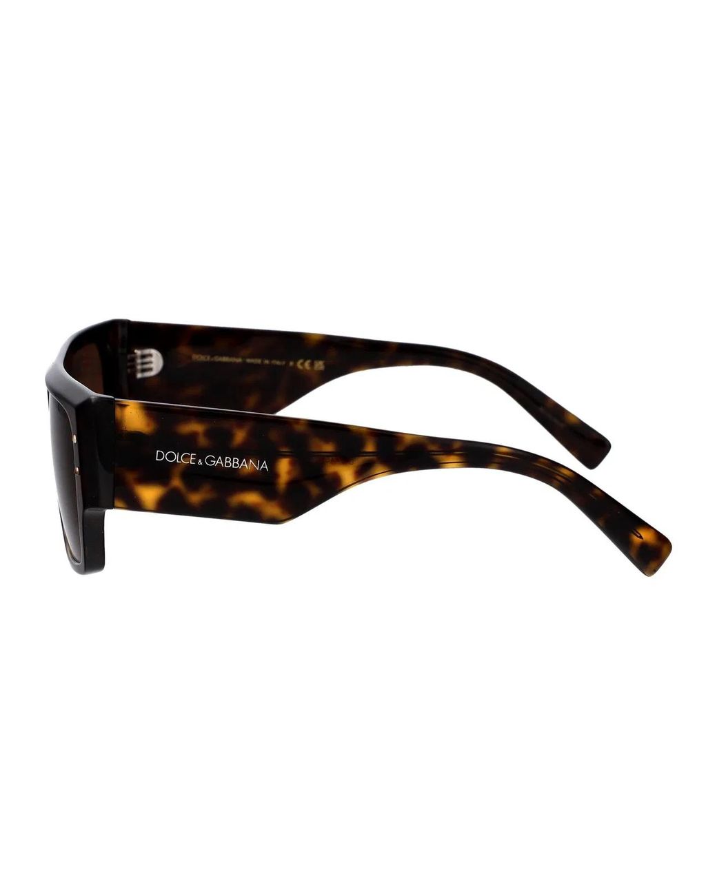 Dolce & Gabbana Brown Dolce & Gabbana Sunglasses