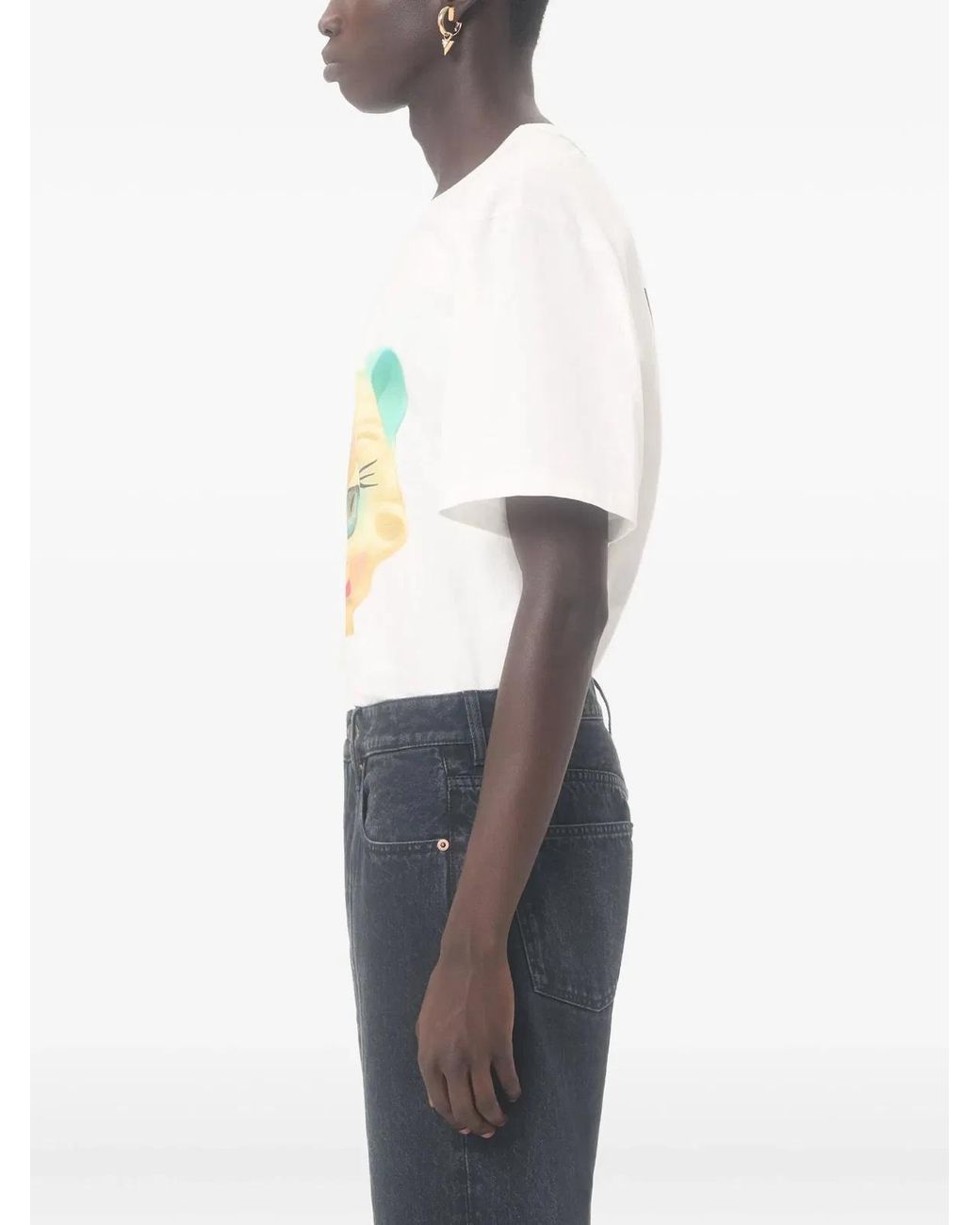 Valentino Garavani Gray T-Shirt With Le Chat De La Maison Print for men