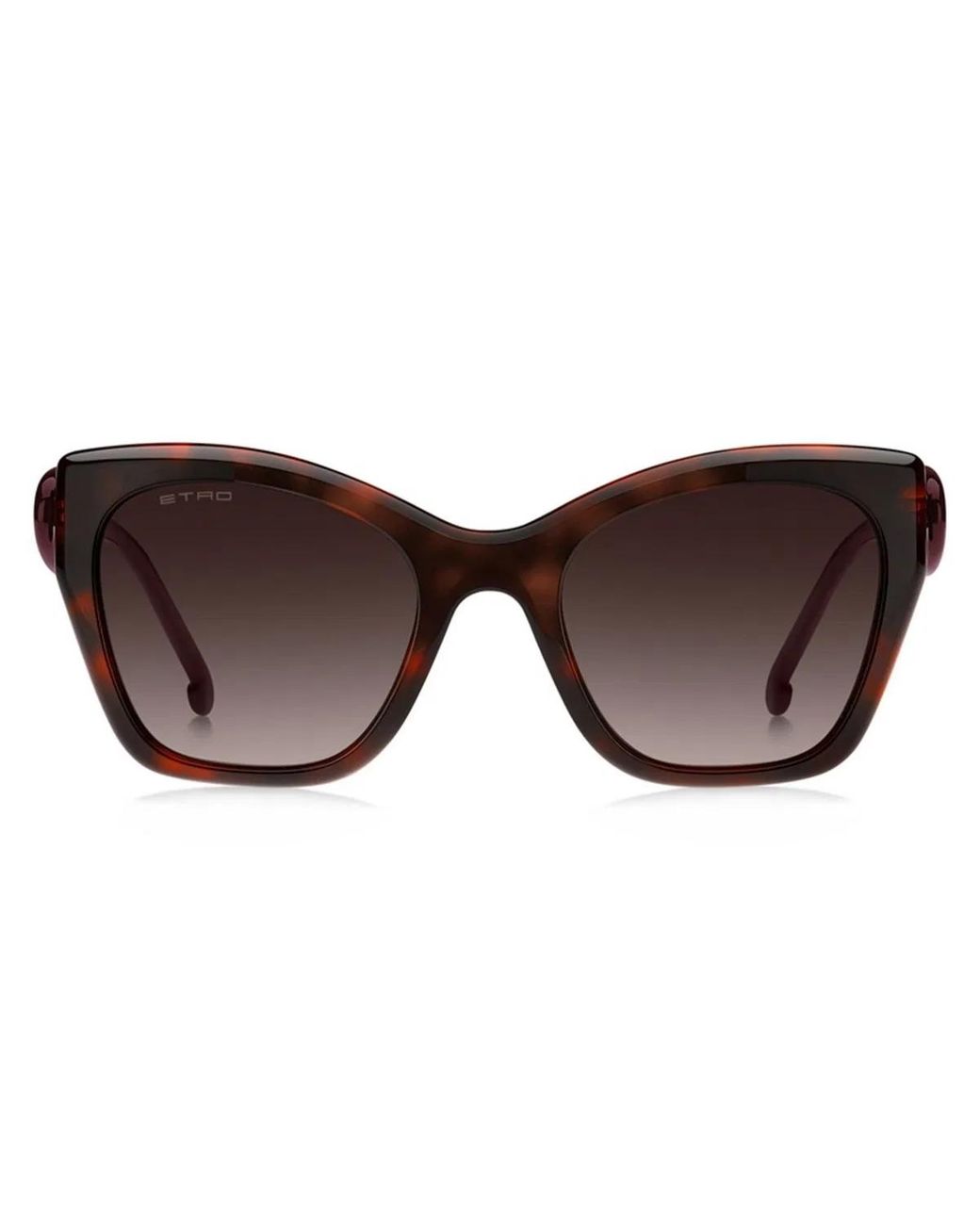 Etro Brown 0084/S 82U(Ha)