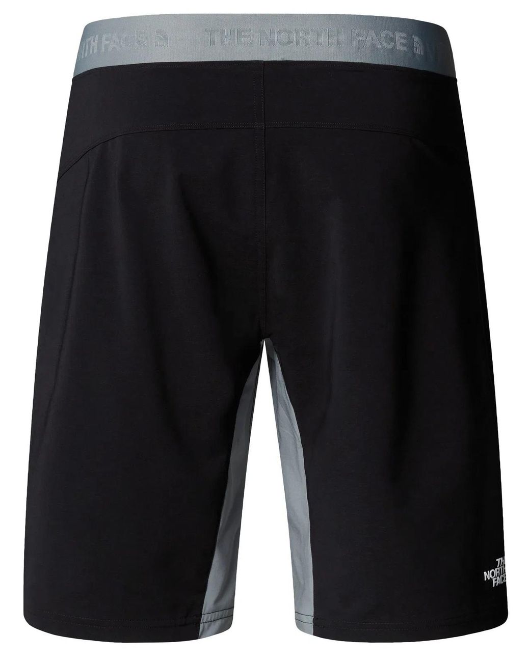 The North Face Gray Felik Slim Tapered Short for men