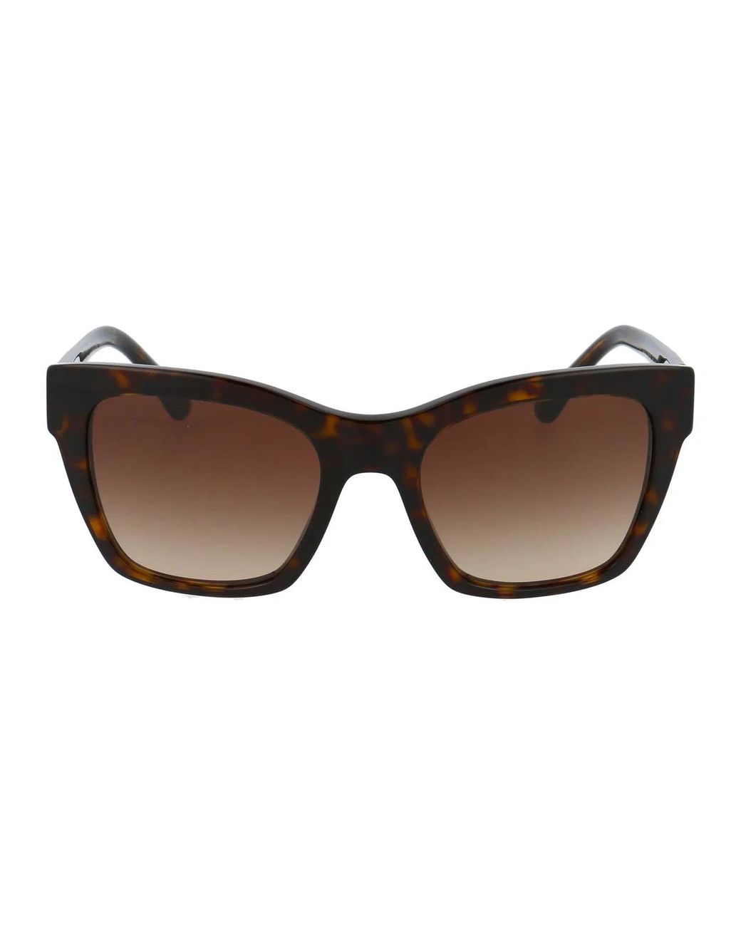 Dolce & Gabbana Brown Dolce & Gabbana Acetate Sunglasses