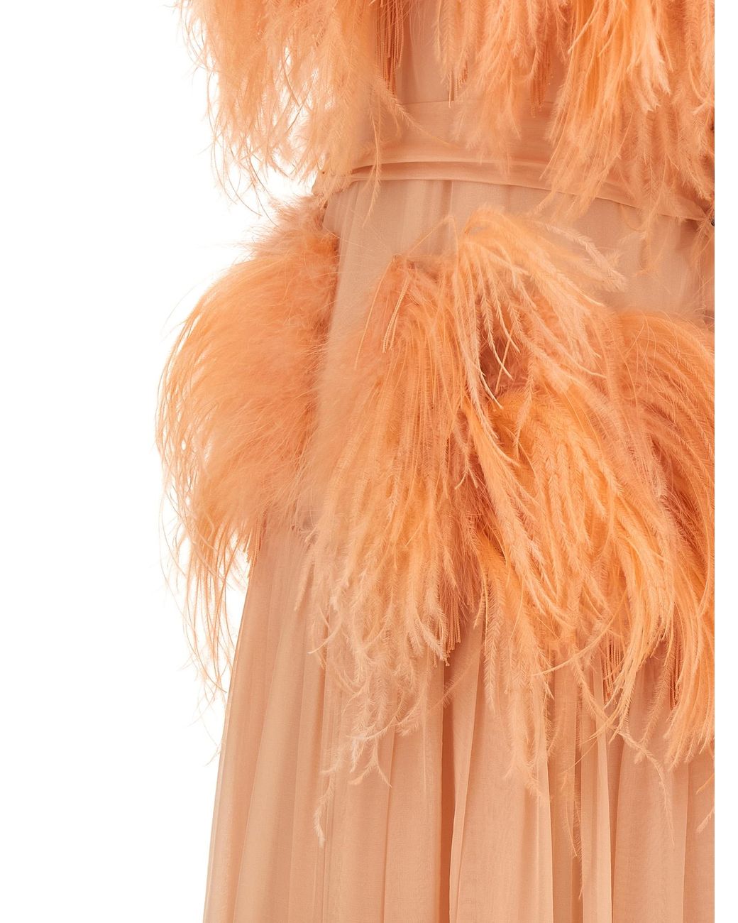 Alberta Ferretti Orange Chiffon And Feather Dress