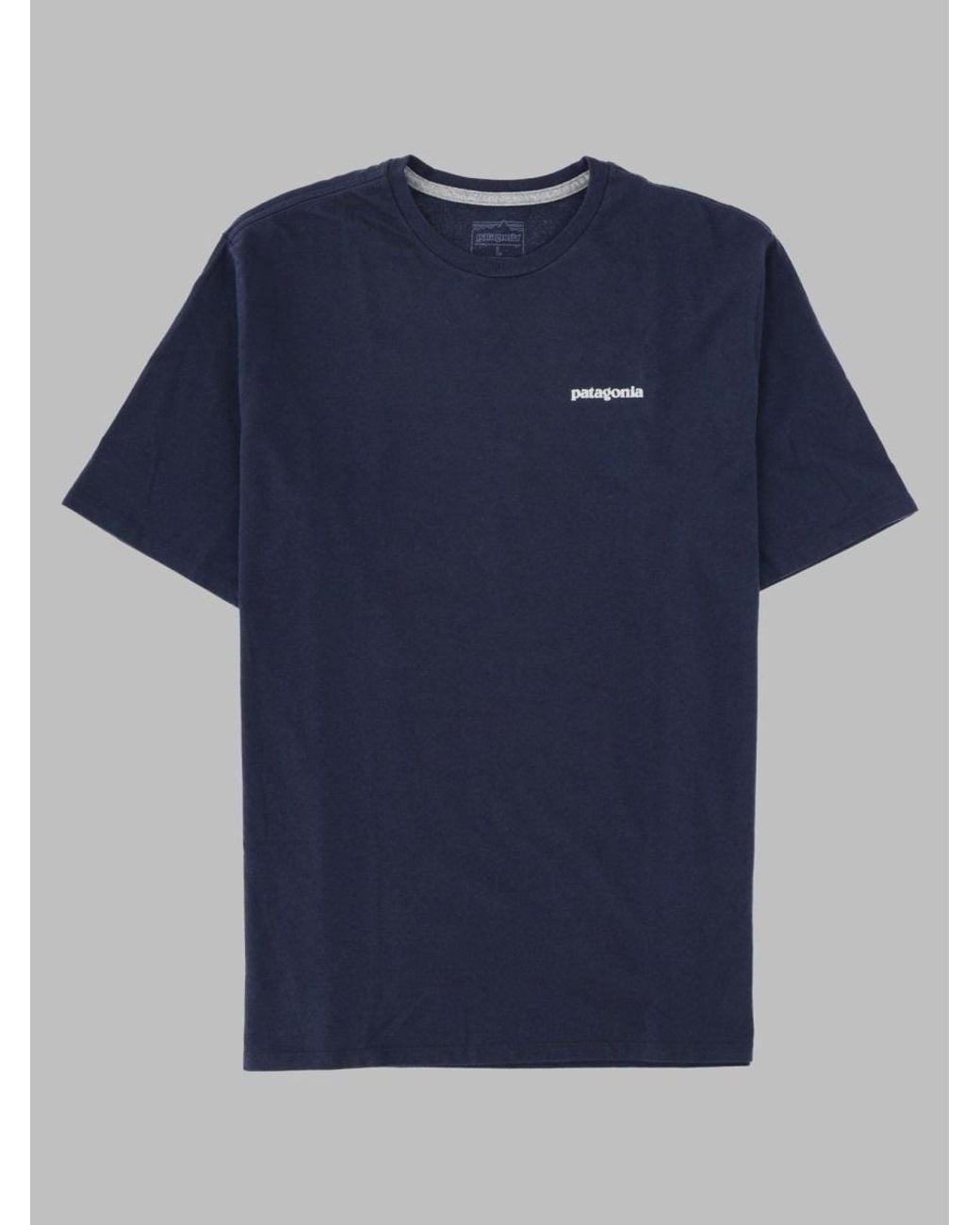 Patagonia Blue Everyday Performance T-Shirt for men