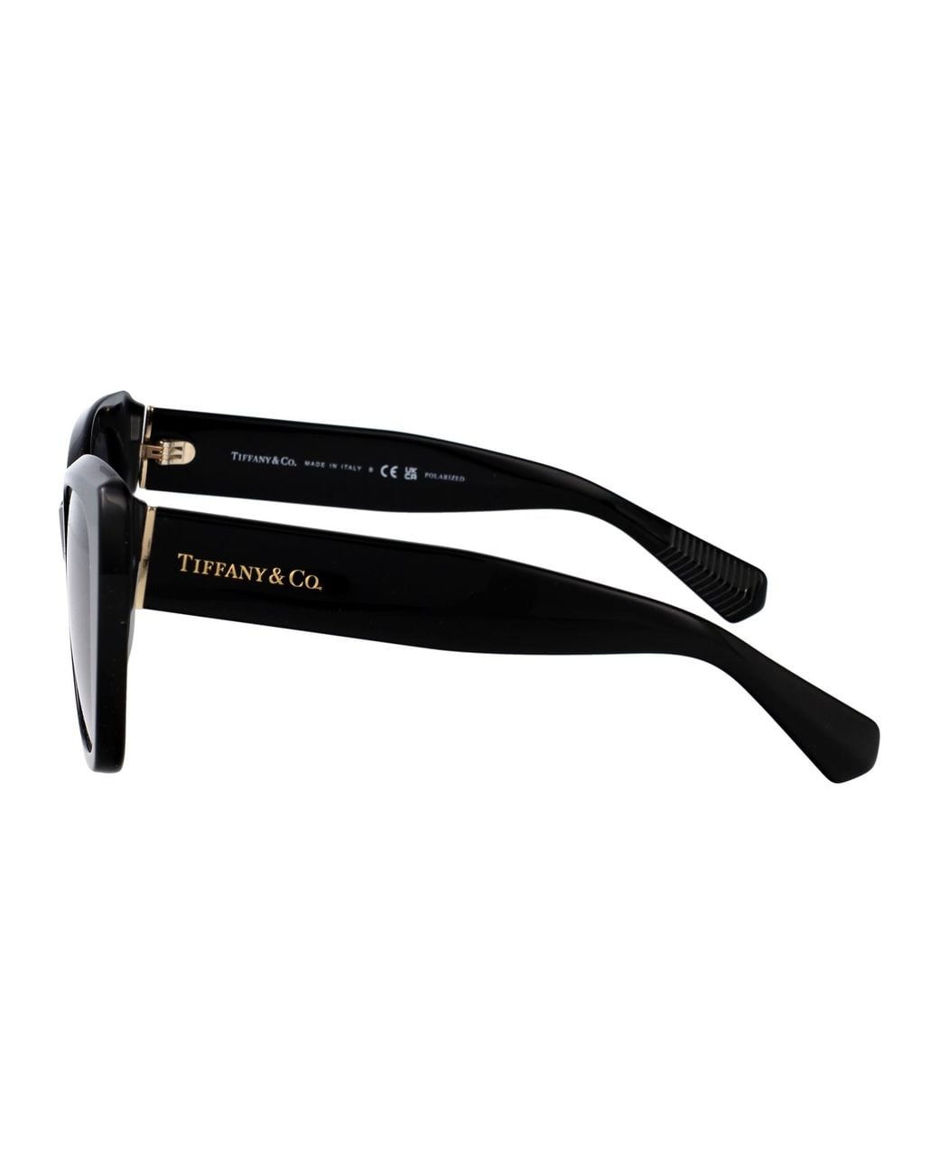 Tiffany & Co Black 0Tf4229 Acetate Sunglasses