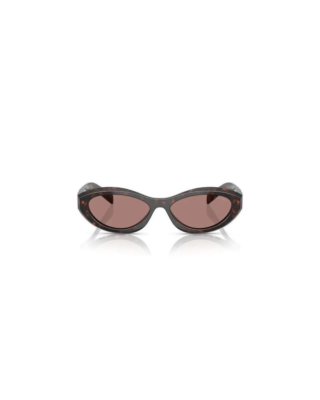 Prada Brown Pr 26Zs 17N60B