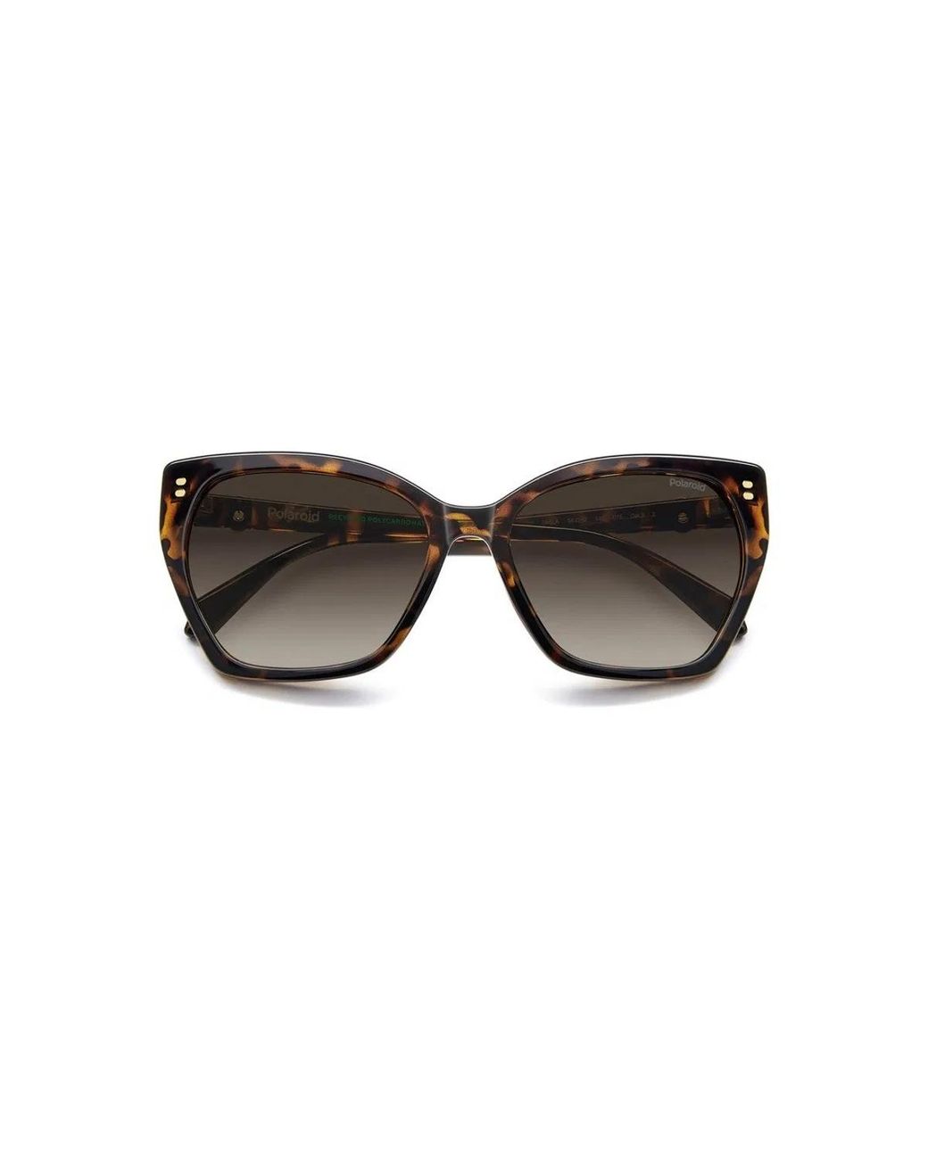 Polaroid Brown Pld 4198/S/X 086(La)