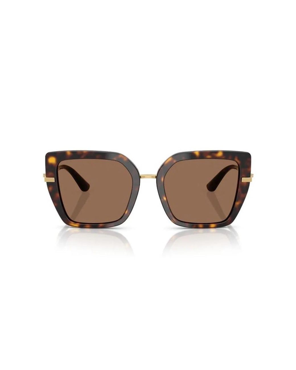 Dolce & Gabbana Brown Dolce & Gabbana Dolce & Gabbana Dg4474 502/73